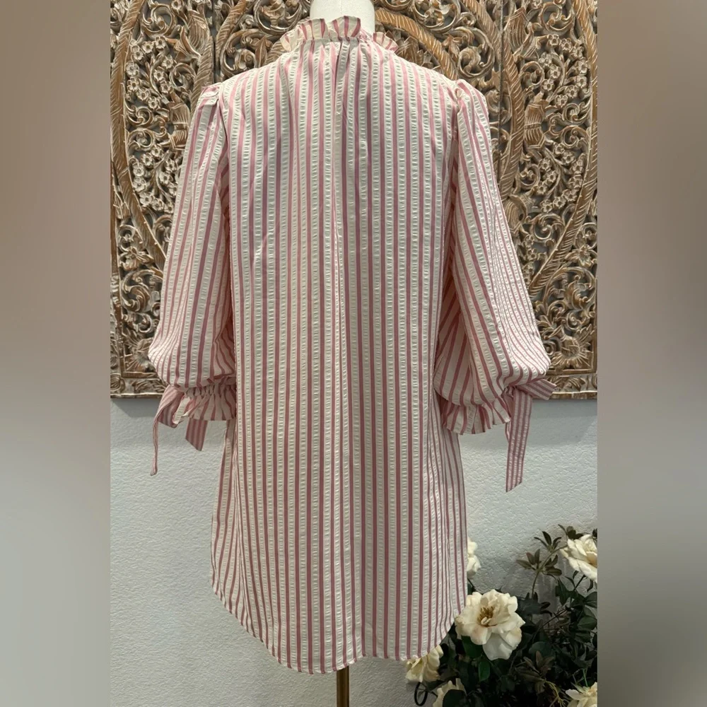 Entro White & Pink Stripe SearSucker Mini Dress, Exaggerated Balloon Sleeves - Picture 3 of 16